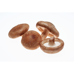 新鲜香菇  约0.5磅/份